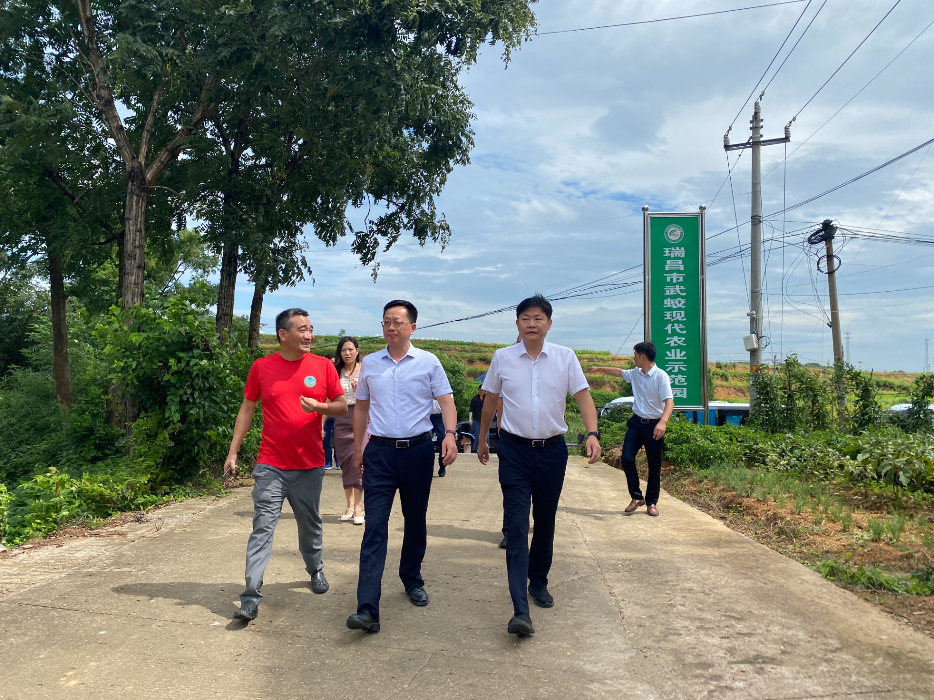 省農(nóng)業(yè)農(nóng)村廳吳國昌副廳長、九江市農(nóng)業(yè)農(nóng)村局朱云局長、瑞昌市農(nóng)業(yè)農(nóng)村局曾憲利局長、省農(nóng)業(yè)系統(tǒng)領導一行來農(nóng)業(yè)科技示范展示基地考察